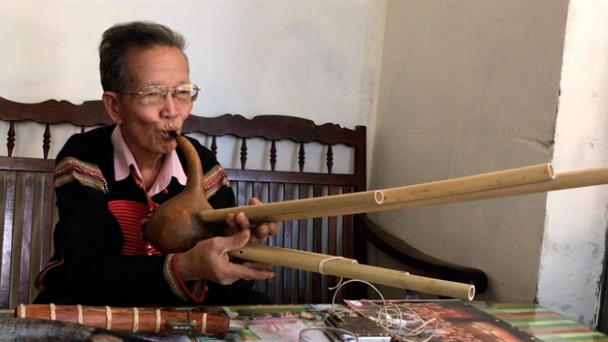 Tây Nguyên còn đó 'cây đại thụ'