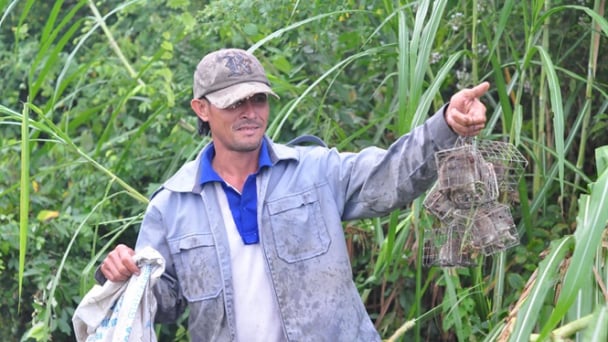 Xây nhà dựng cửa nhờ... 'chú tý'