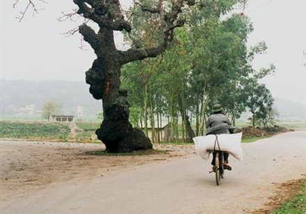 Làng Quỳnh nguyên mẫu