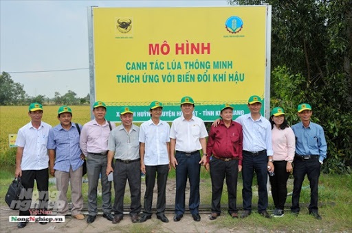 Quy trình canh tác lúa thông minh ứng phó với biến đổi khí hậu