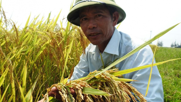 Thành công từ yếu tố con người