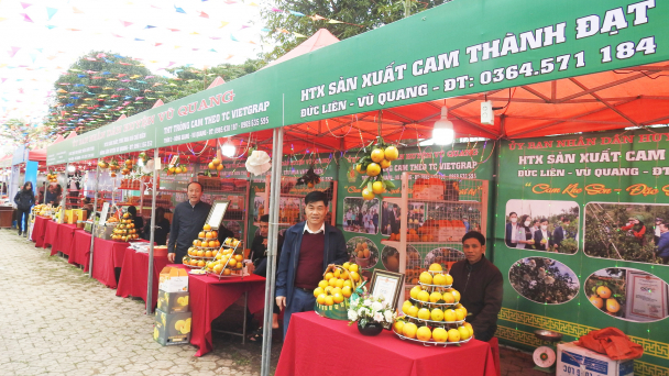 Đưa trái cam Hà Tĩnh vươn xa