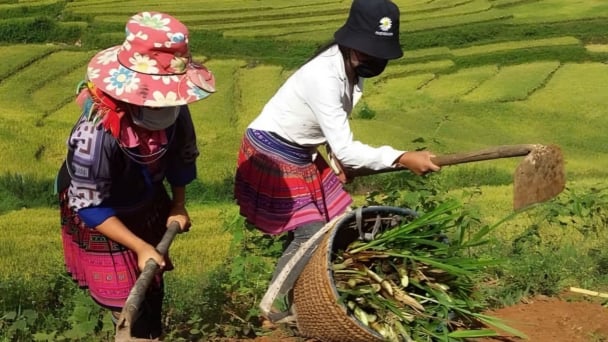 Giải quyết nhu cầu đất cần gắn với sinh kế đồng bào dân tộc thiểu số