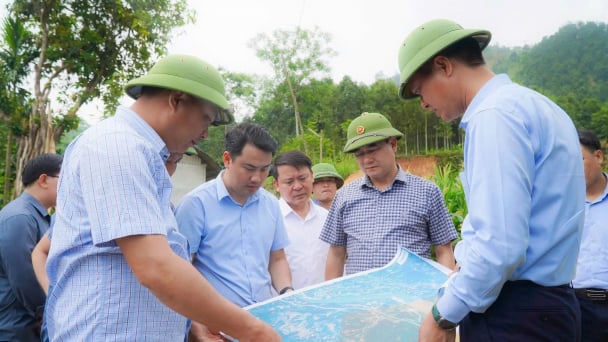 Xử lý 12 trường hợp vi phạm đất đai