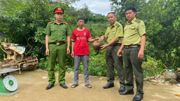 Người dân Lạng Sơn giao nộp tê tê Java quý hiếm