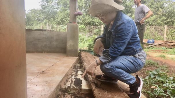 Bọ đậu đen gieo rắc sợ hãi, người dân cầu cứu tới Đại biểu Quốc hội