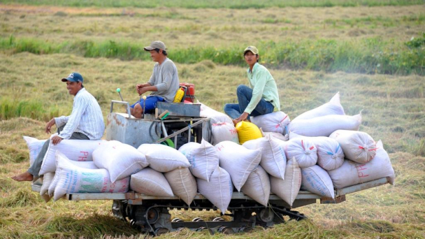 'Ngành Nông nghiệp đã có những giải pháp ứng phó hiệu quả trong khó khăn'