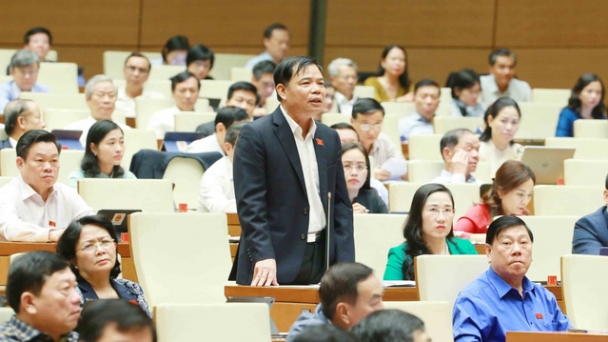 Diện tích rừng tự nhiên tăng 1,3 triệu ha trong 30 năm