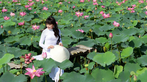 Tết Dương lịch đi chơi đâu ở TP. HCM mà không lo tốn tiền?