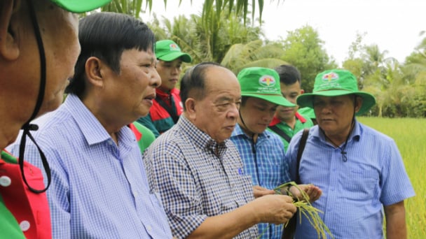 Nâng cao giá trị xanh trên tiềm năng xanh Đất Sen hồng