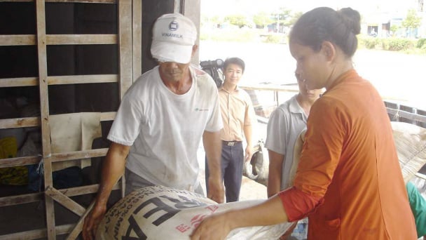 Tổng Giám đốc Vinacam: 'Giá phân Urea tăng bất thường, hỗn loạn'