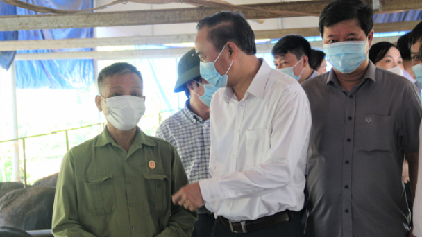 Chăn nuôi Phú Thọ nên phát triển theo hướng đặc hữu