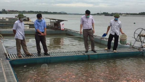 Chăn nuôi, Thú y và Thủy sản Bắc Ninh tăng trưởng trong đại dịch