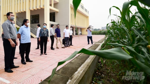'Chiếc áo mới' cho Viện Nghiên cứu Ngô