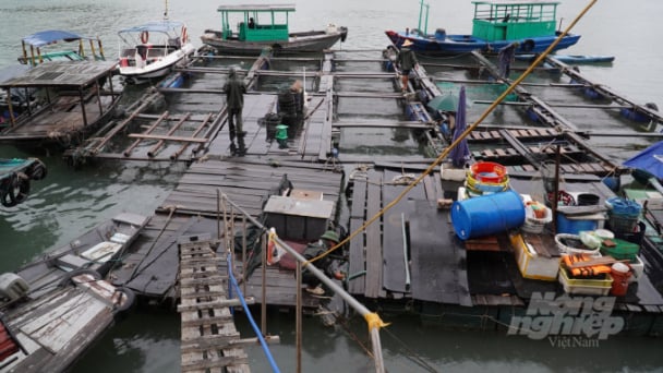 Đình chỉ hoạt động giao thông vận tải đường thuỷ nội địa, phà sông...