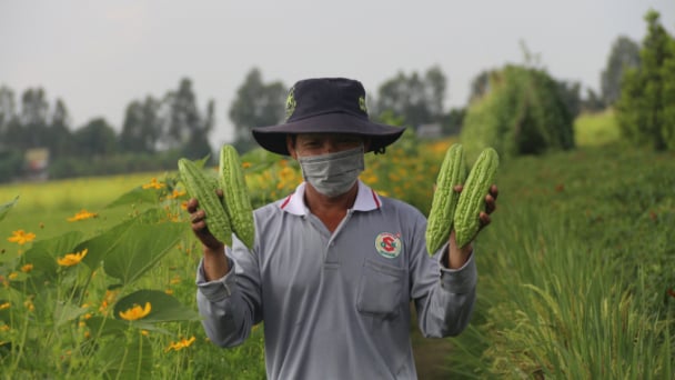 Đề xuất dán nhãn cho sản phẩm nông nghiệp sinh thái