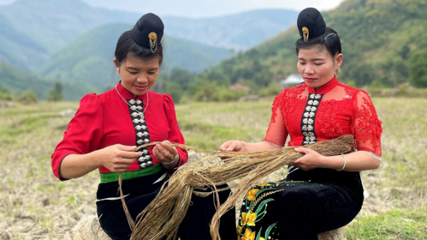 Loài cây khỏa lấp ‘vùng lõm’ Lạc Sơn