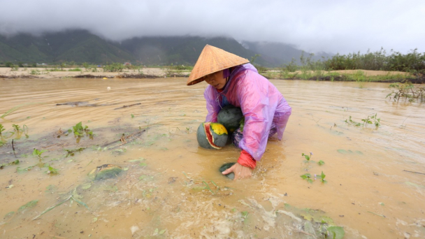 Thời tiết ngày càng dị thường
