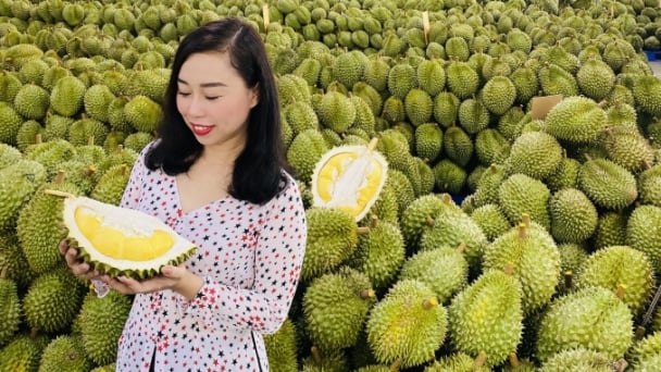 Xây dựng chuỗi cung ứng bền vững, tự tin chinh phục thị trường Hoa Kỳ