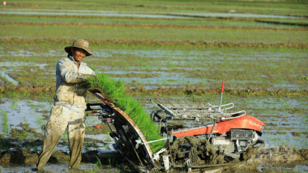 Góp ý sửa đổi Luật Hợp tác xã, Luật Đất đai: Đừng để luật thành 'dây trói vô hình' với nông dân