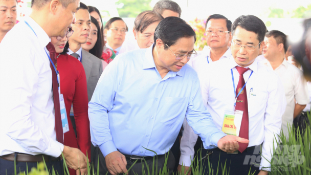 Tinh thần khởi nghiệp lan tỏa từ sinh viên thì nông nghiệp phát triển bền vững