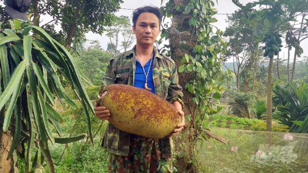 Nông trại không bỏ đi, cũng không bán đi thứ gì