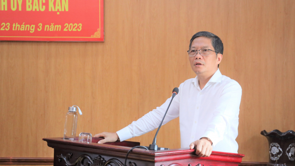 Cần có giải pháp căn cơ phát triển kinh tế dưới tán rừng