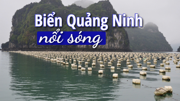 [Bài 1]: Quả phao nổi, đời người chìm