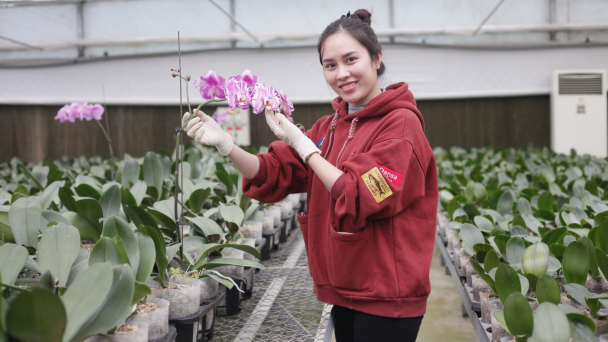 Đi xem Lasuco làm nông nghiệp xanh thông minh
