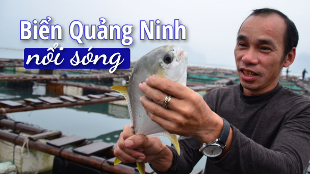 [Bài 6] Chuyện của ngư dân sắp phá sản lần thứ 5