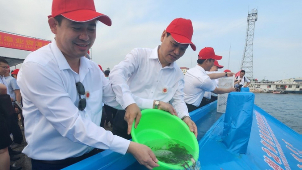 Thả giống tái tạo nguồn lợi thủy sản trong Vịnh Bắc Bộ