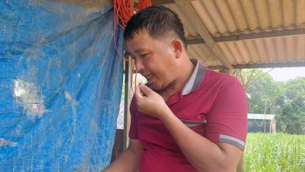 Ông chủ trang trại tự tin nếm thức ăn của vật nuôi