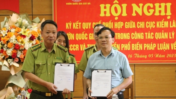 Vườn Quốc gia Cát Bà phối hợp Chi cục Kiểm lâm vùng I bảo vệ rừng