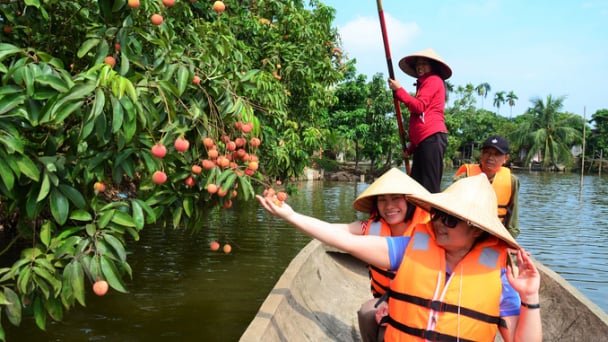Một dòng Hương giang chảy giữa đất vải Thanh Hà