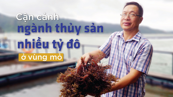 Quảng Ninh đi sớm, phải về đích sớm
