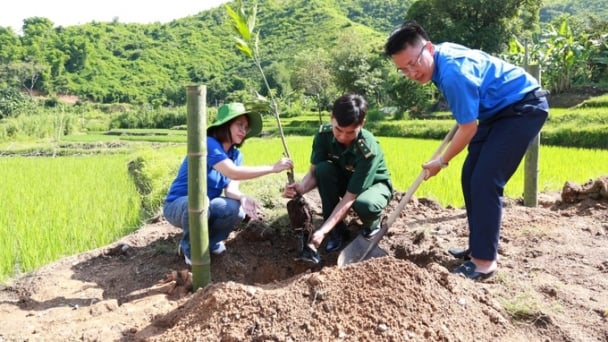 Tuổi trẻ Bộ NN-PTNT hỗ trợ sinh kế cho người dân xứ Thanh