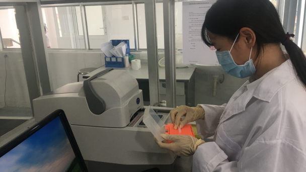 Lấy mẫu xét nghiệm dịch bệnh trên hàu, cá biển mỗi tháng/lần