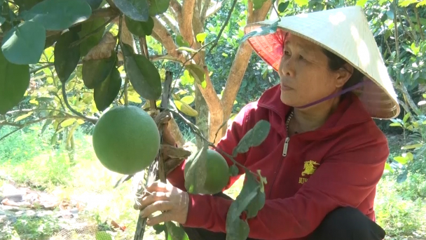 Vươn lên nhờ đồng vốn vay