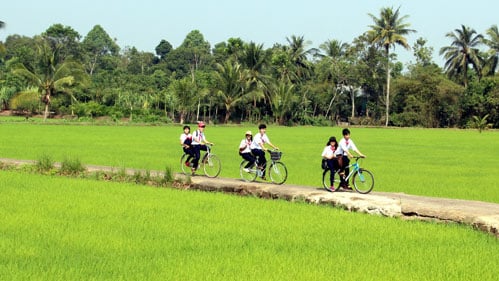 Thư gửi các em học sinh nông thôn