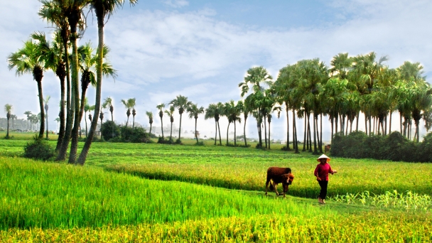 Thế nào là nông thôn văn minh