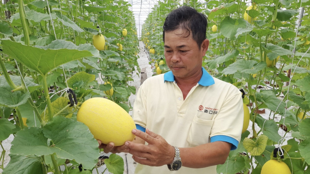 Kinh nghiệm phát triển HTX của quốc tế gợi mở nhiều điều cho Việt Nam