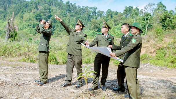 Rừng giàu hơn, chất lượng hơn nhờ Chỉ thị 13