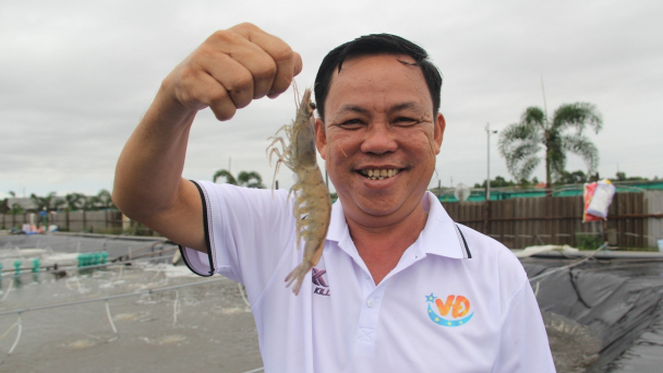 Tôn vinh 100 nông dân xuất sắc, 63 HTX tiêu biểu