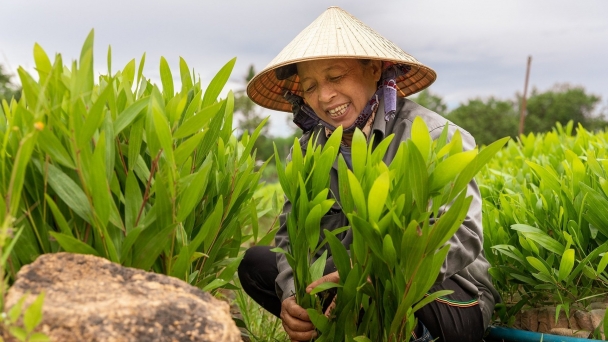 10 góc nhìn phụ nữ về bình đẳng giới trong lâm nghiệp