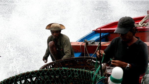 Ngư dân văn minh, ngư nghiệp toàn diện