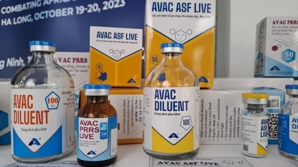 Nghi vấn nông dân Philippines mua phải vacxin AVAC ASF LIVE giả