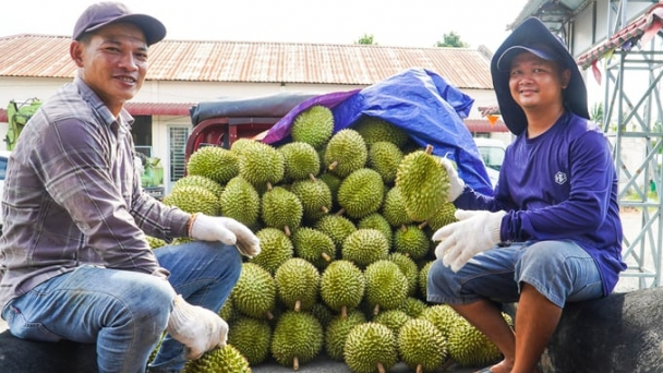 Cơ hội mới đưa hàng nông, thủy sản ĐBSCL vào thị trường Trung Quốc