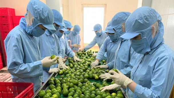 Hỗ trợ doanh nghiệp thích ứng nhanh với Hiệp định UKVFTA
