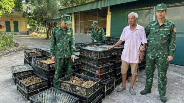 Quảng Ninh xử lý gần 2.400 vụ buôn lậu, gian lận thương mại và hàng giả