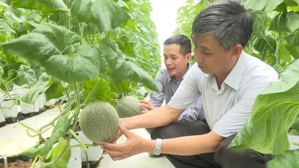 Chuyện xây dựng nông thôn mới kiểu mẫu ở xã có gần 1.500 hộ kinh doanh